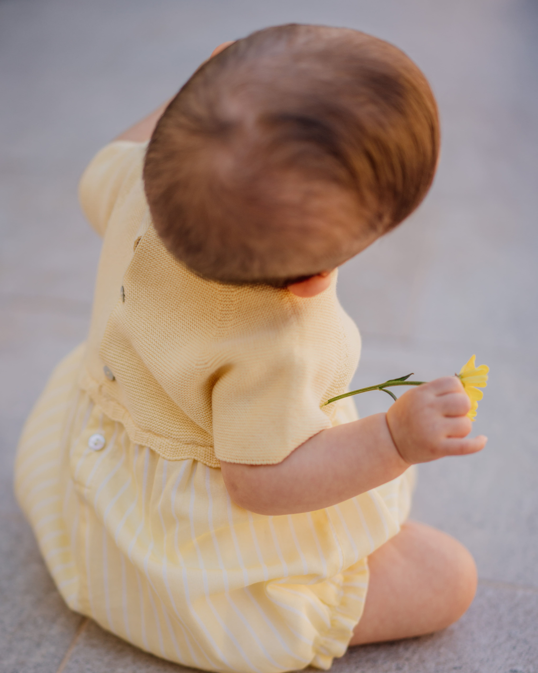 Fofo de manga curta com riscas | LET LOVE GROW