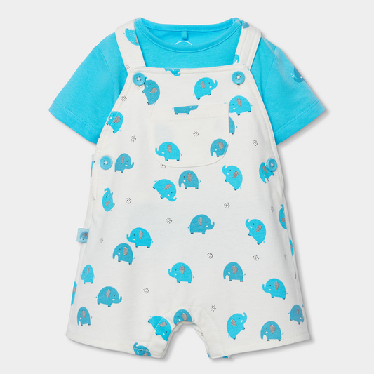 Conjunto de Jardineiras e T-shirt Azul