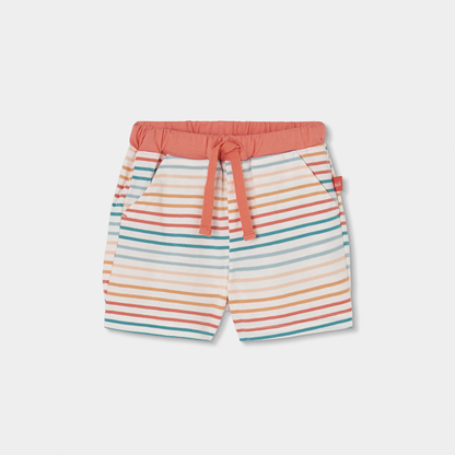 Conjunto de T-shirt e Calções Riscas Coloridas
