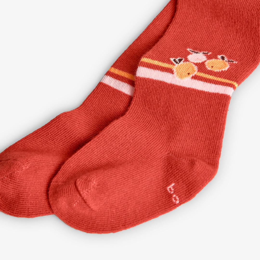 Collants laranja com animais| BOBOLI