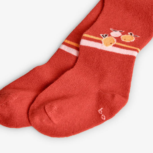 Collants laranja com animais| BOBOLI