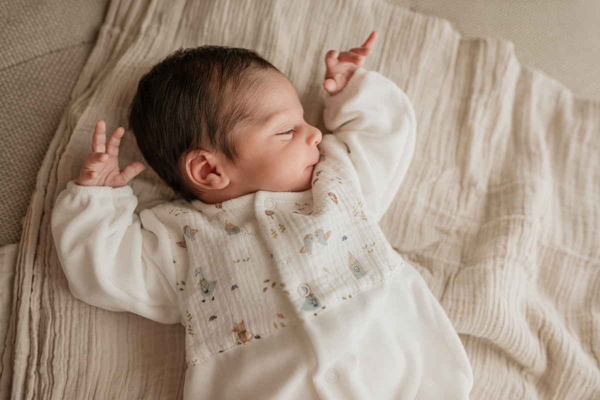 Babygrow Laminado com Peito Estampado Bosque Encantado